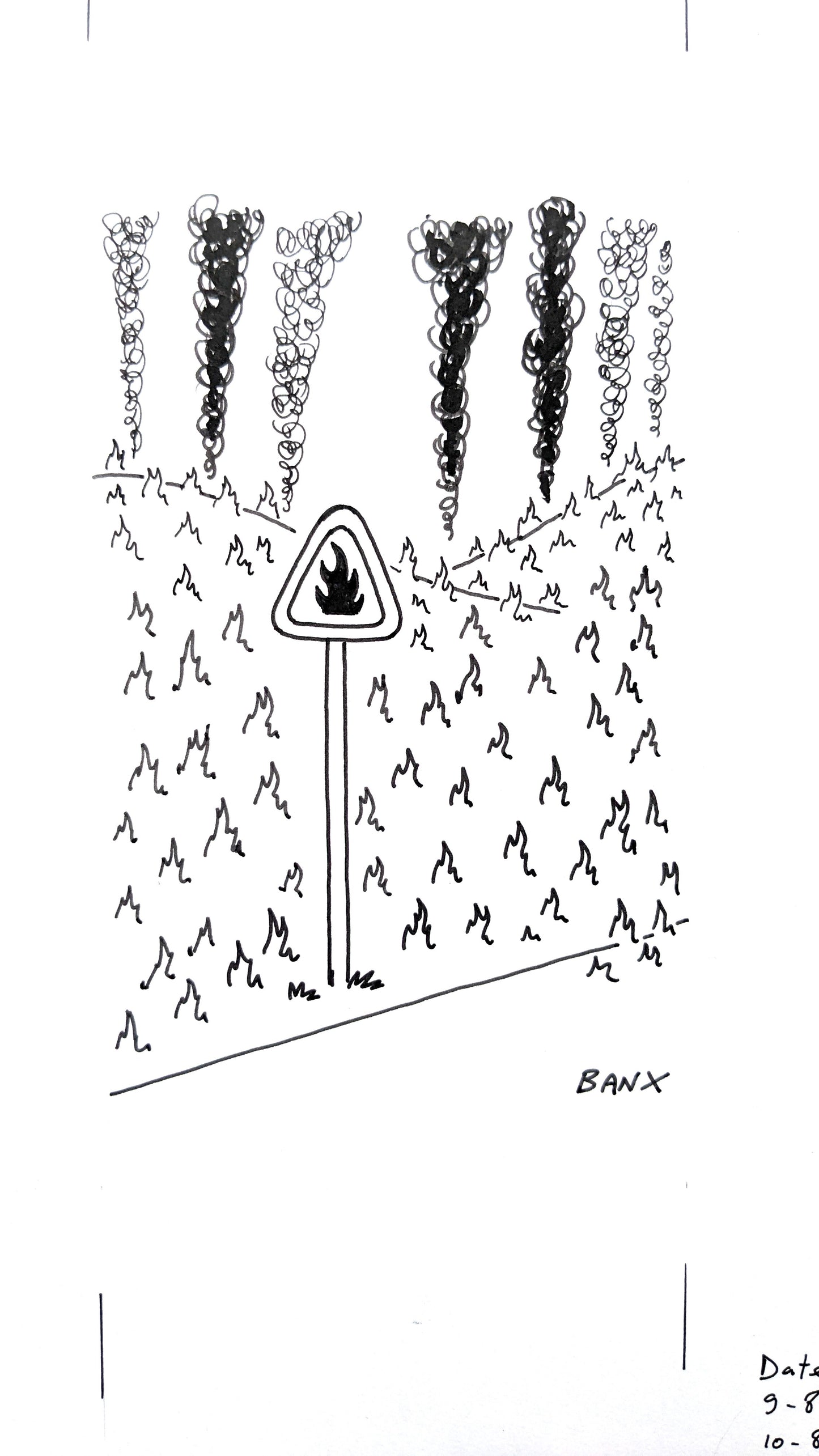 Wildfires - BANX